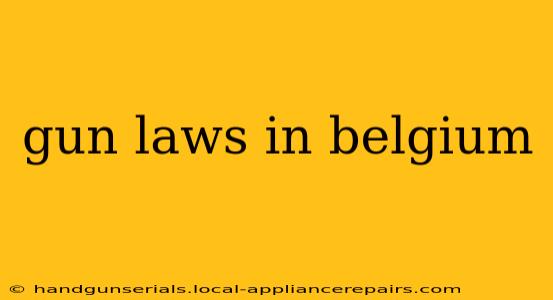 gun laws in belgium