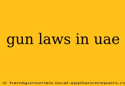 gun laws in uae