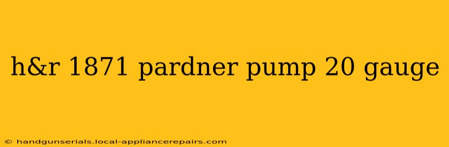 h&r 1871 pardner pump 20 gauge