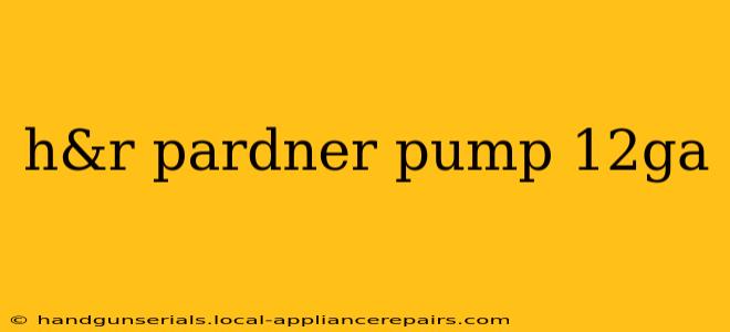 h&r pardner pump 12ga