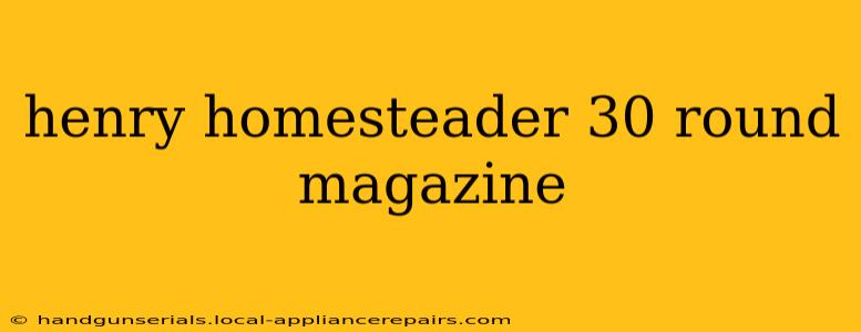 henry homesteader 30 round magazine