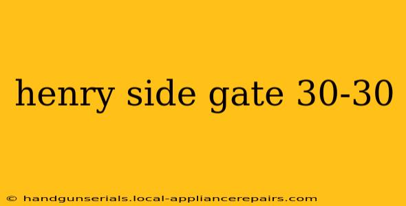 henry side gate 30-30