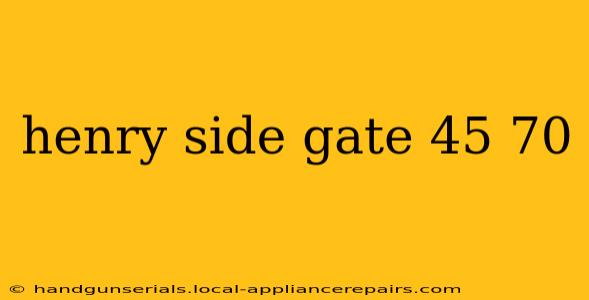 henry side gate 45 70