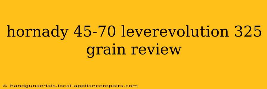 hornady 45-70 leverevolution 325 grain review