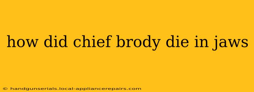 how did chief brody die in jaws