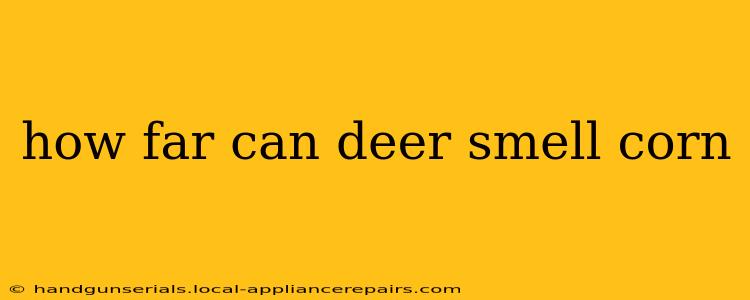 how far can deer smell corn