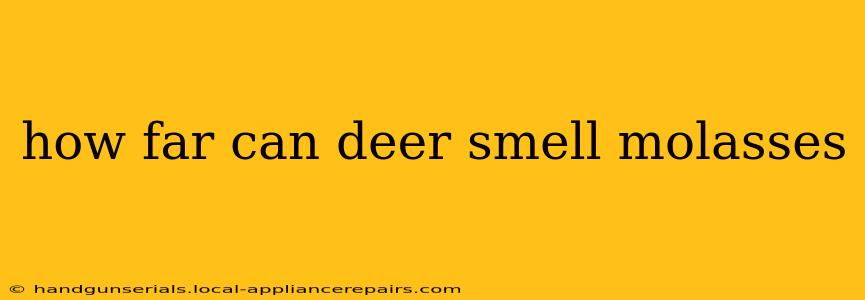 how far can deer smell molasses