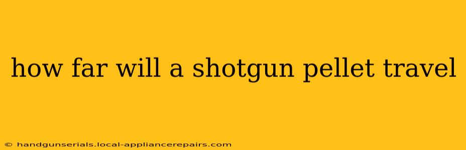 how far will a shotgun pellet travel