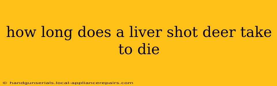 how long does a liver shot deer take to die