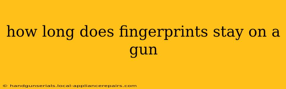 how long does fingerprints stay on a gun