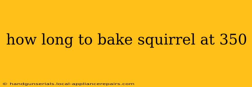 how long to bake squirrel at 350