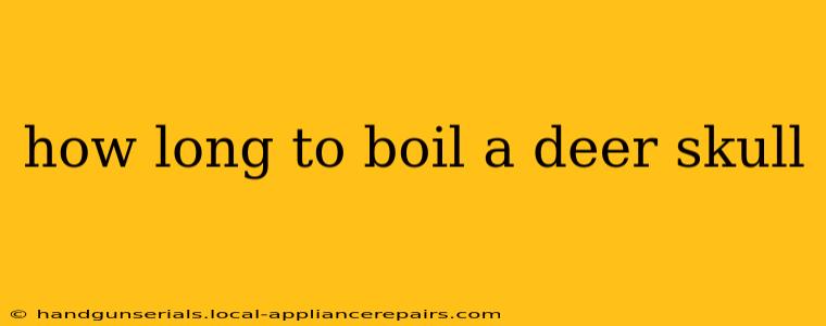 how long to boil a deer skull