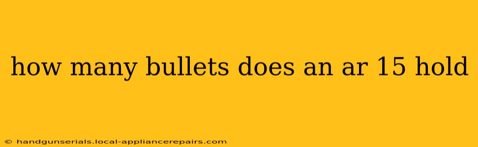 how many bullets does an ar 15 hold