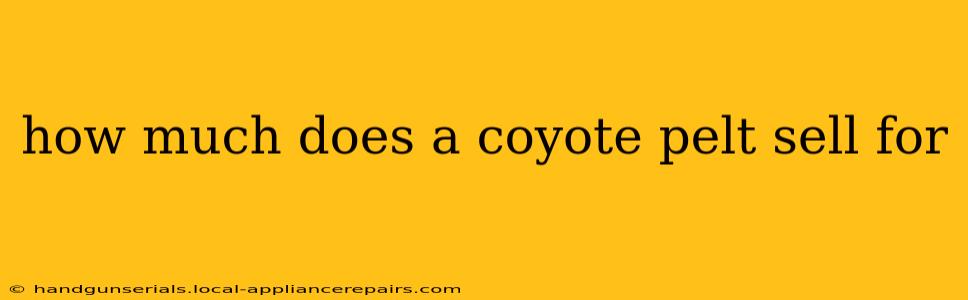 how much does a coyote pelt sell for