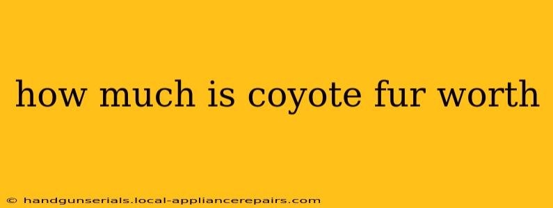 how much is coyote fur worth