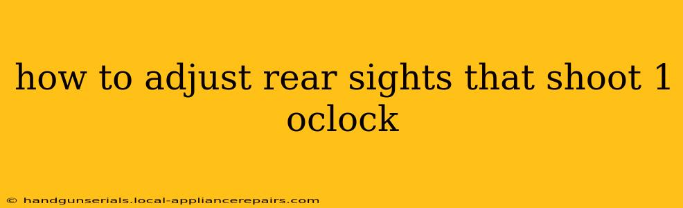 how to adjust rear sights that shoot 1 oclock