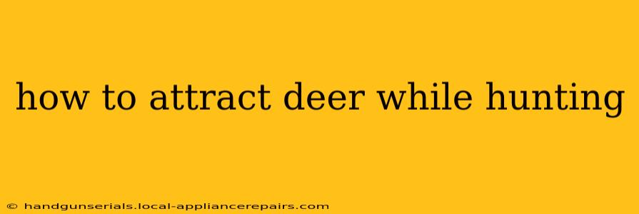 how to attract deer while hunting