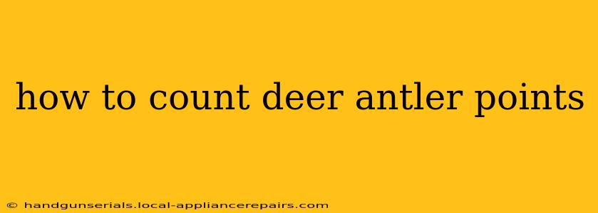 how to count deer antler points