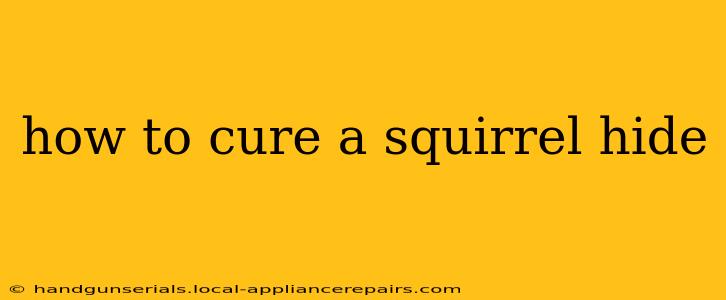 how to cure a squirrel hide