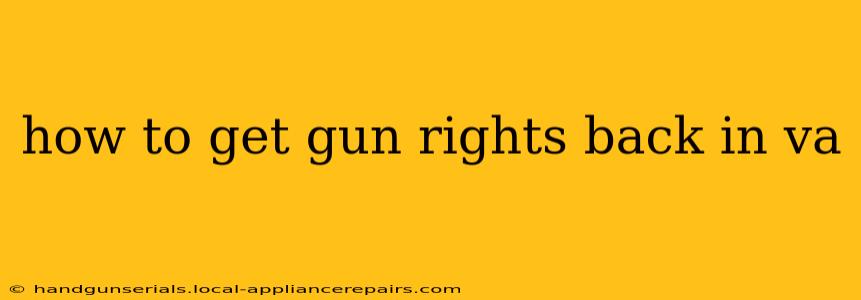 how to get gun rights back in va