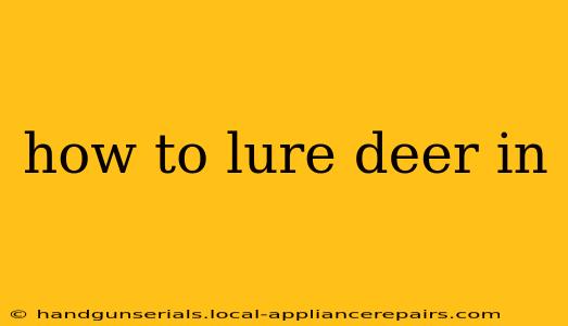 how to lure deer in