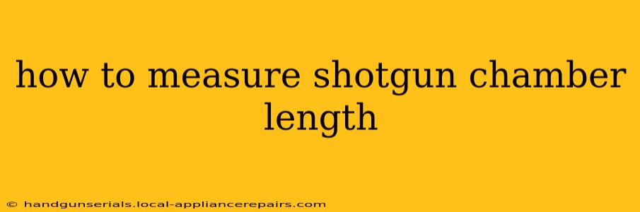 how to measure shotgun chamber length