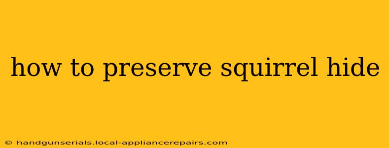 how to preserve squirrel hide