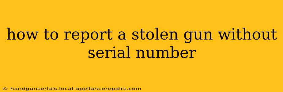 how to report a stolen gun without serial number