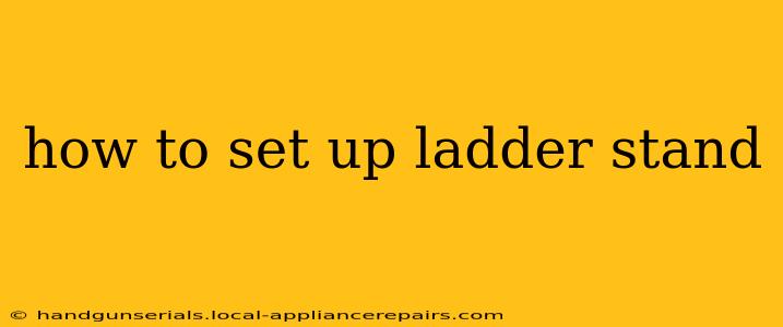 how to set up ladder stand