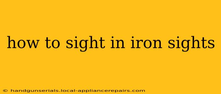 how to sight in iron sights