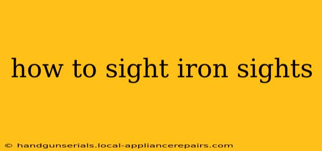 how to sight iron sights