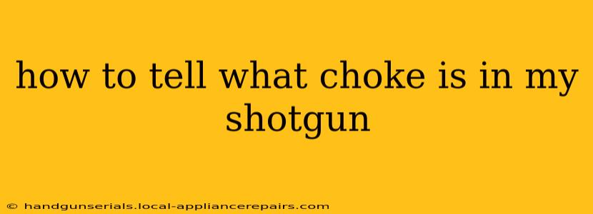 how to tell what choke is in my shotgun