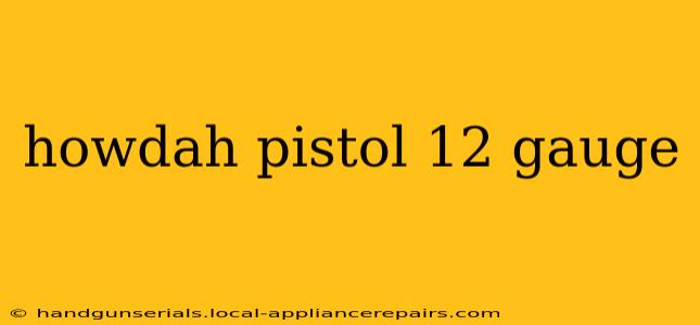 howdah pistol 12 gauge