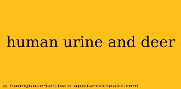 human urine and deer