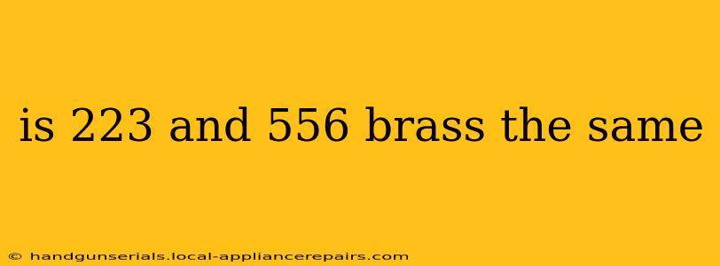 is 223 and 556 brass the same