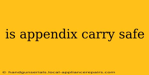 is appendix carry safe