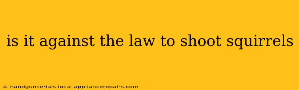 is it against the law to shoot squirrels