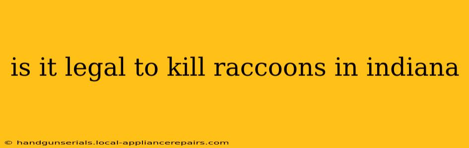 is it legal to kill raccoons in indiana