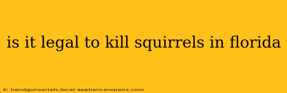 is it legal to kill squirrels in florida