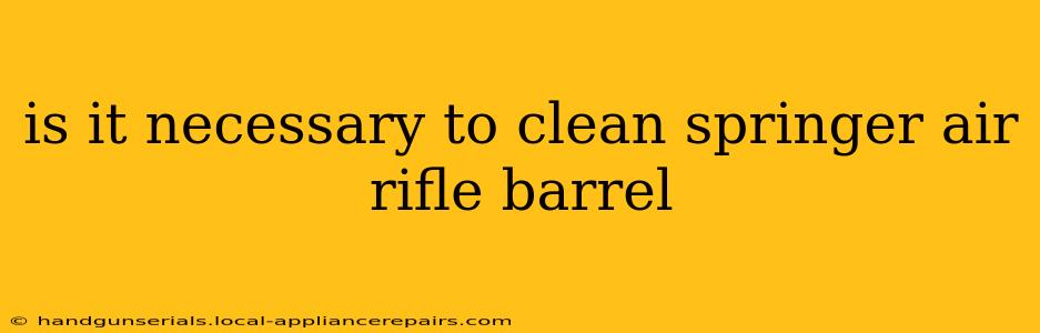 is it necessary to clean springer air rifle barrel