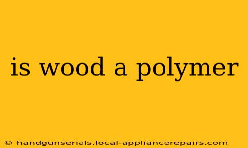 is wood a polymer