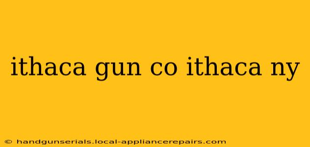 ithaca gun co ithaca ny