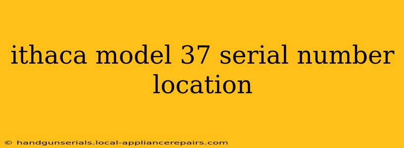 ithaca model 37 serial number location