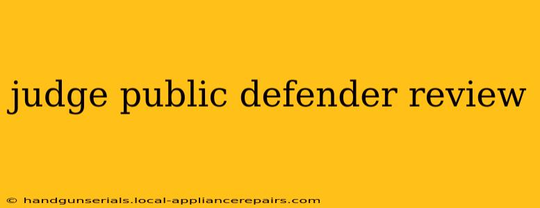 judge public defender review