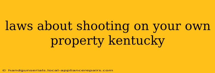 laws about shooting on your own property kentucky