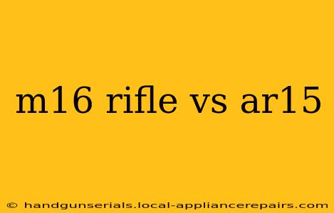 m16 rifle vs ar15