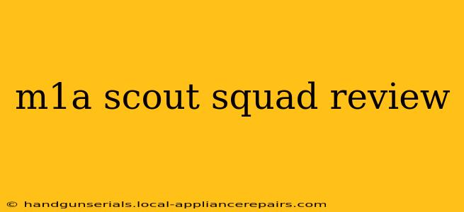 m1a scout squad review