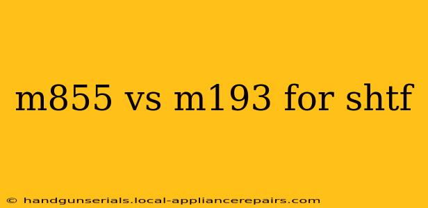 m855 vs m193 for shtf