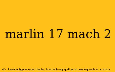 marlin 17 mach 2