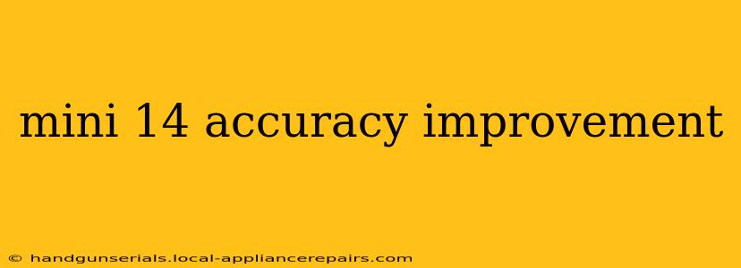 mini 14 accuracy improvement